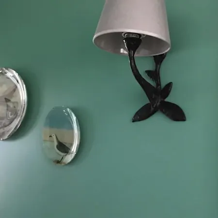 Daire Ensoleille Avec Vue *